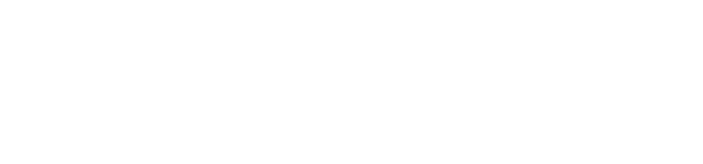 Item 1