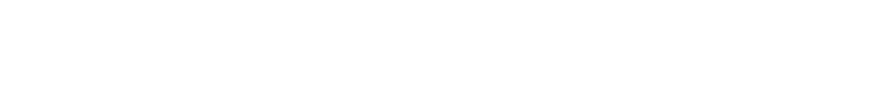 Item 1